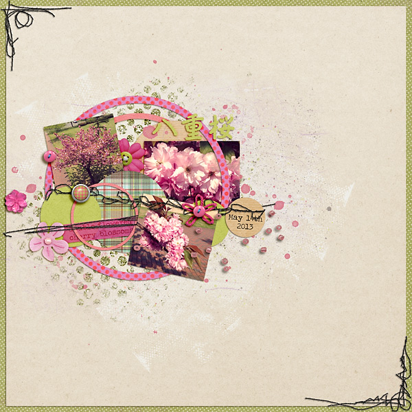 Last cherry blossoms