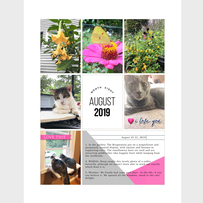 Last_week_of_August
