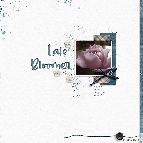 Late Bloomer (Speed Scrap Tues 5/12 @ 2pm)