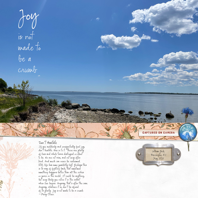 Latham-Park-BaySpring-Water-view
