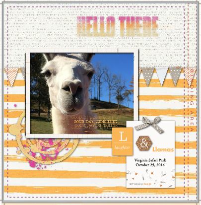 Laughter & Llamas