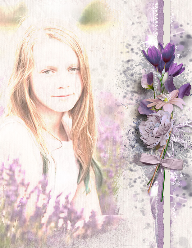 Lavender Dreaming