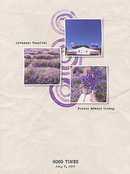Lavender Festival
