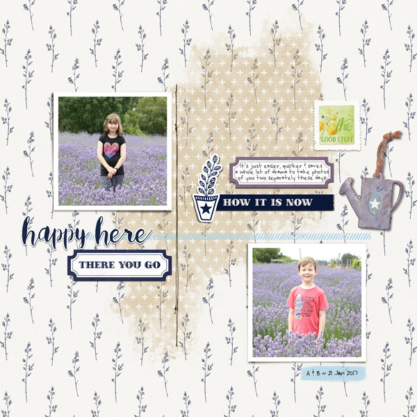 lavender fields forever