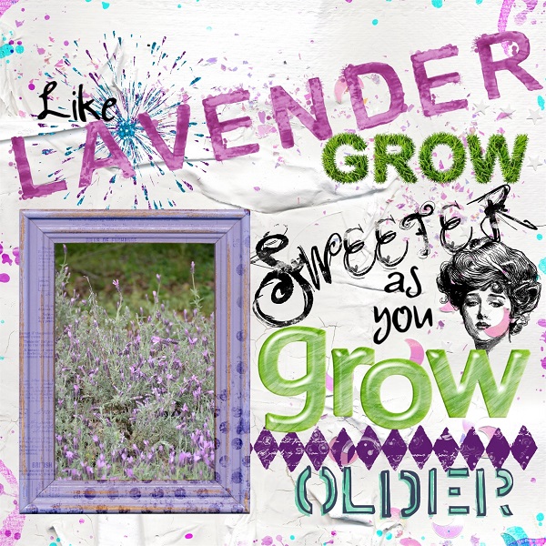 Lavender Proverb