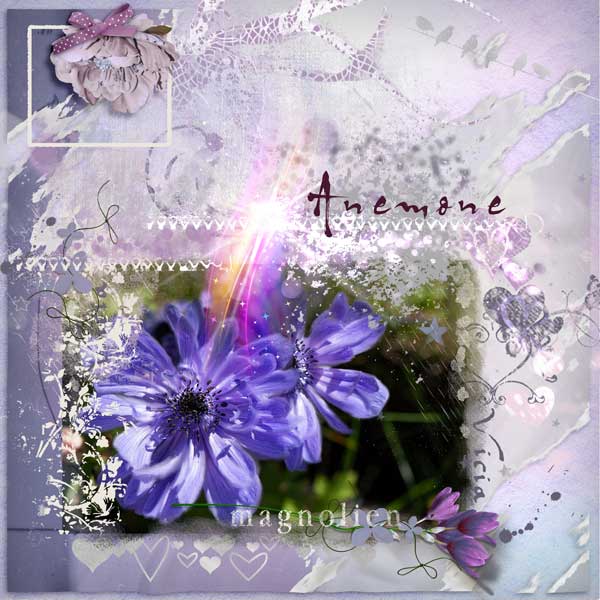 Lavender-treasure-1