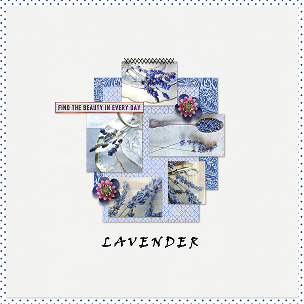 Lavender