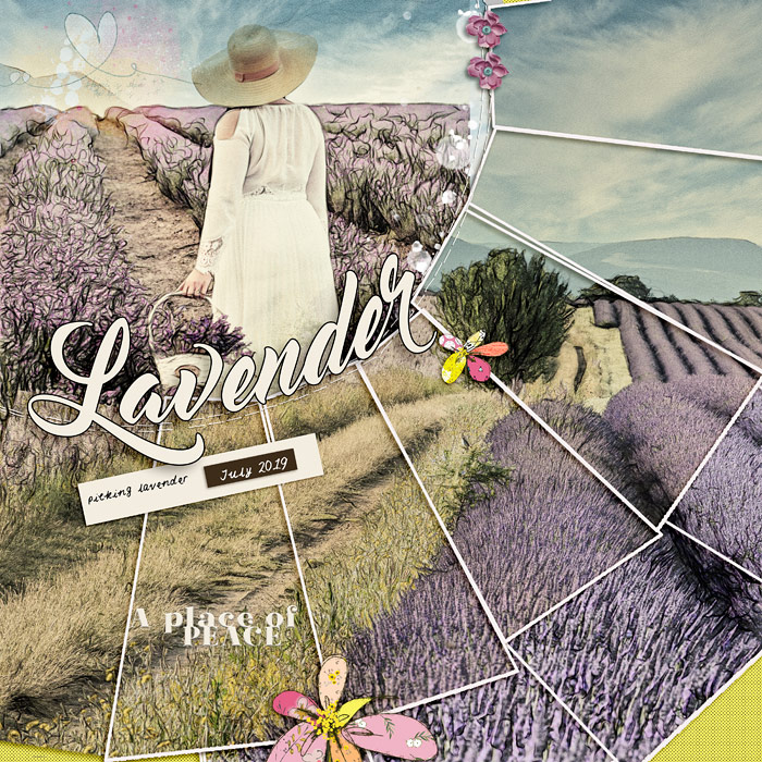 Lavender