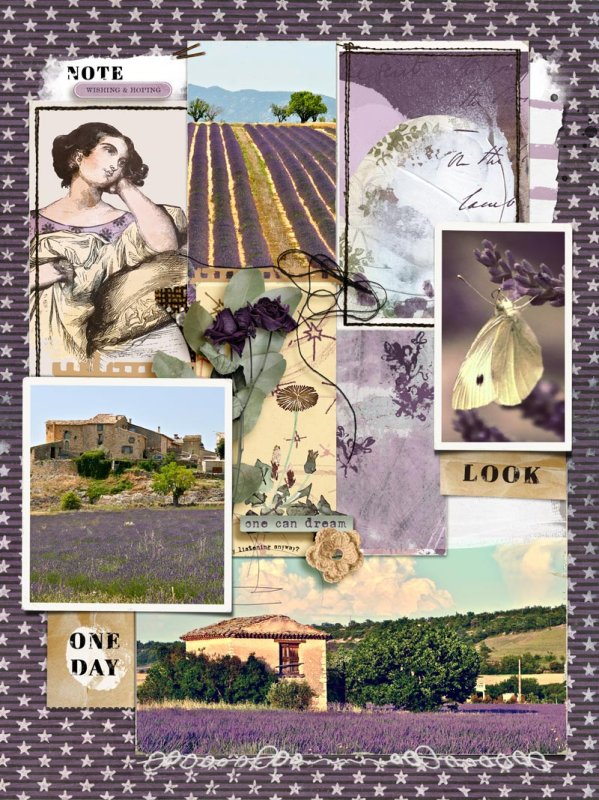 Lavender