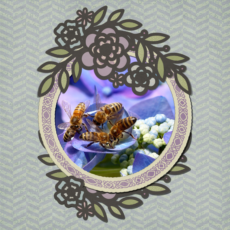 Lavender's Blue