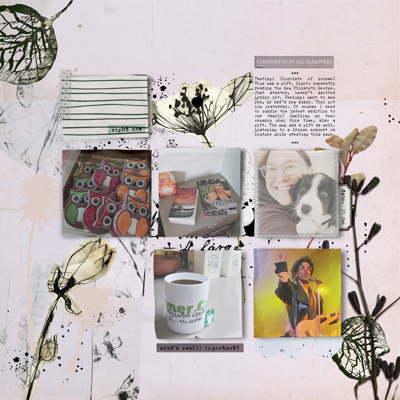 layout-day-17-currently-grid.jpg