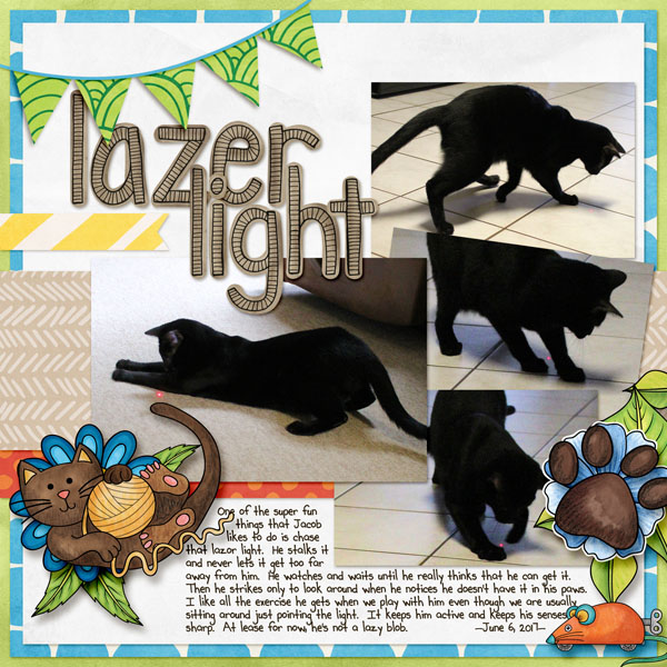 Lazer Light