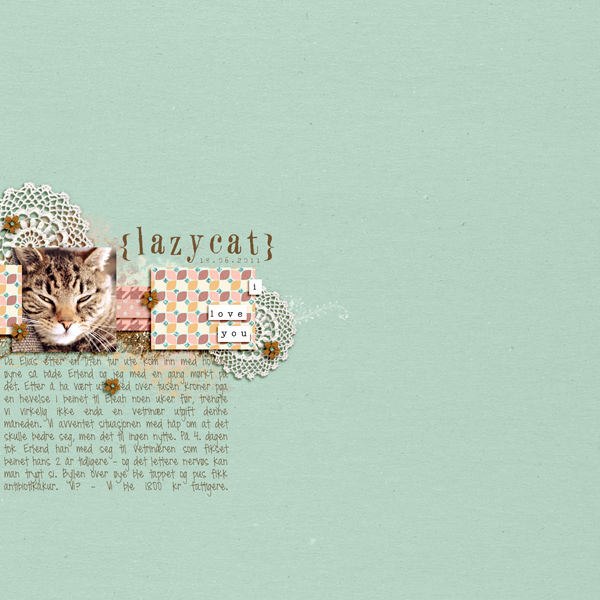 Lazycat!