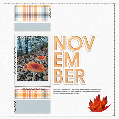 Lbw_November2020_tp