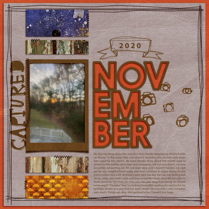Lbw_November2020_tp