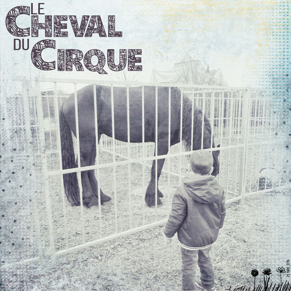 Le cheval du cirque