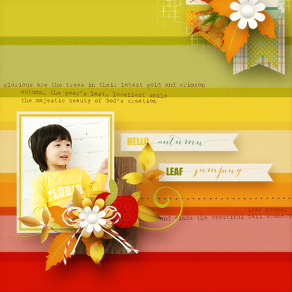 Leaf Peeper Basics