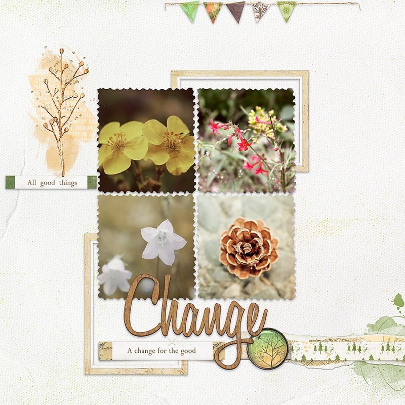 Leap Challenge Lake-flowers