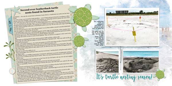 Leatherback Turtle Nest