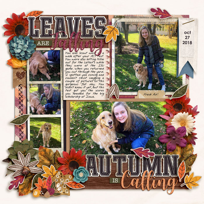 Leaves Are Falling