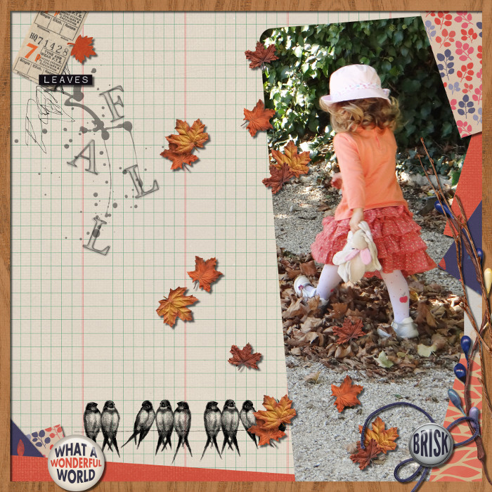 Leaves fall