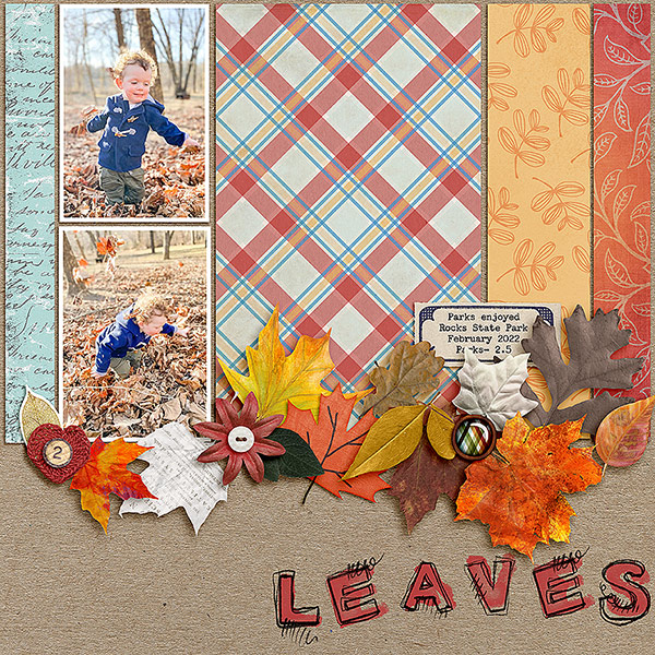 Leaves