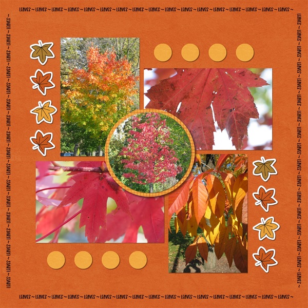 Leaves