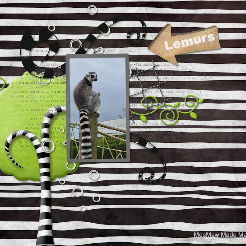 Lemurs