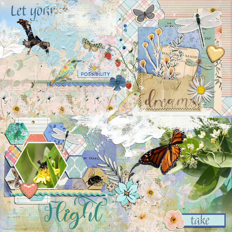 Let Dreams Take Flight - October AJ Muse