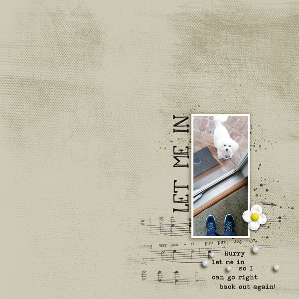 Let Me In