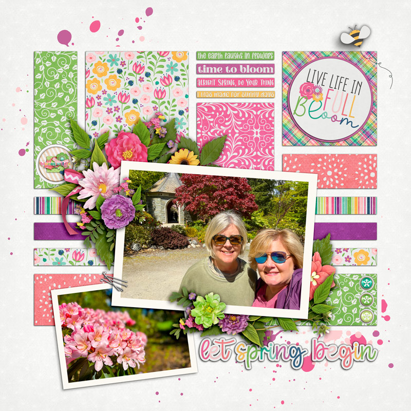 Let Spring Begin!