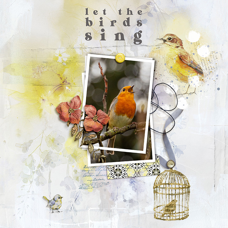 Let the birds sing