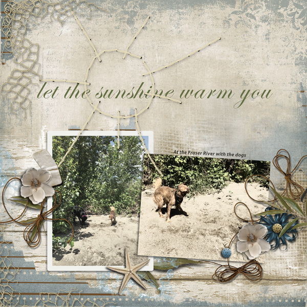 Let The Sunshine Warm You