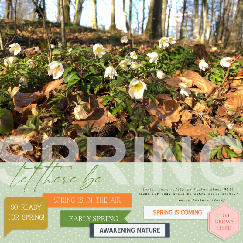 Let there be spring