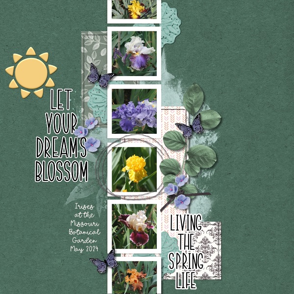 Let Your Dreams Blossom