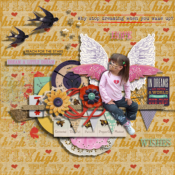 Let your dreams fly