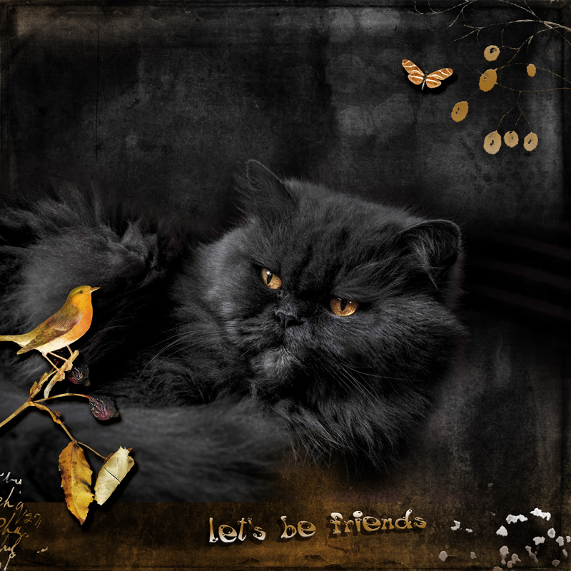 Let's be friends