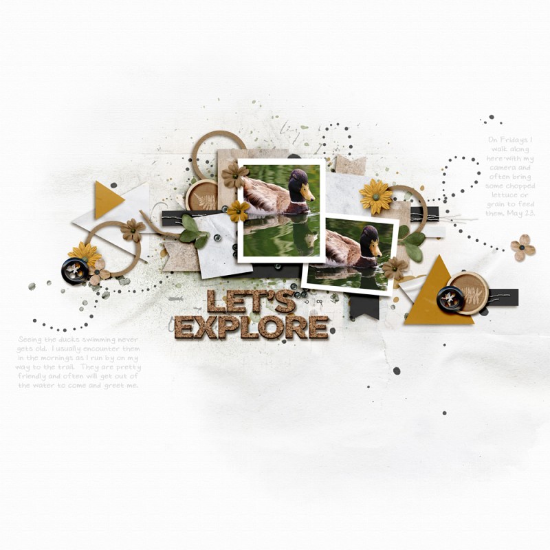 Let's Explore