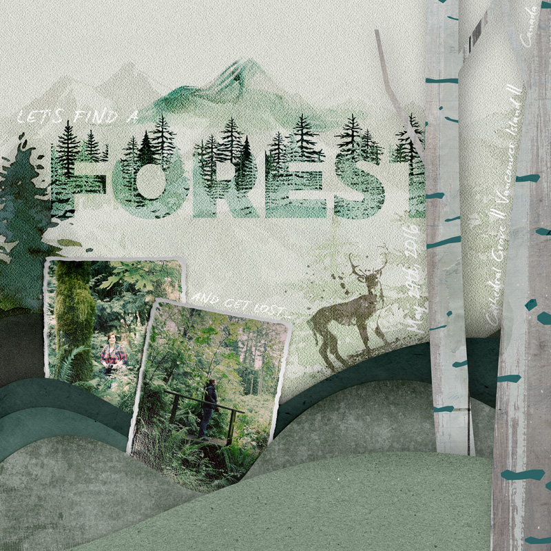 Let's Find A Forest And Get Lost... [LOD23 / 27FEB23 / NBK DESIGN]