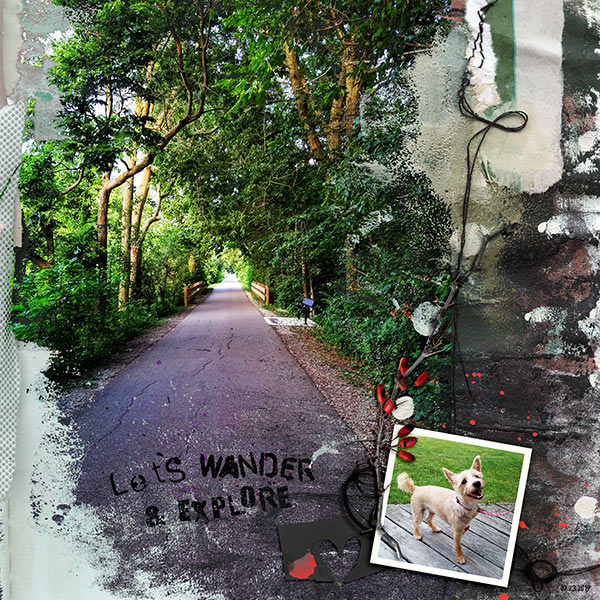 Let's Wander & Explore