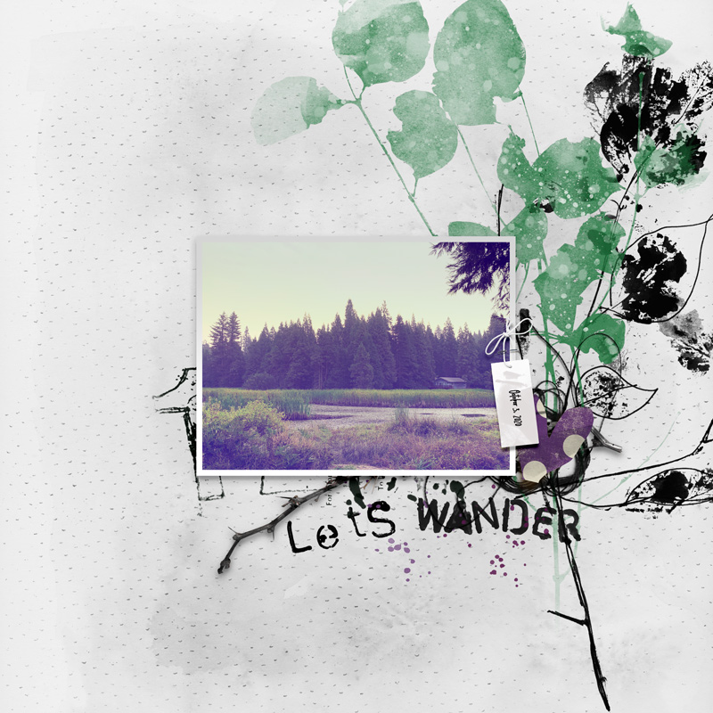 Let's Wander