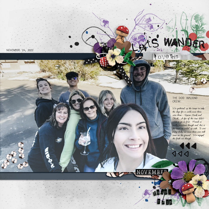 Let's Wander