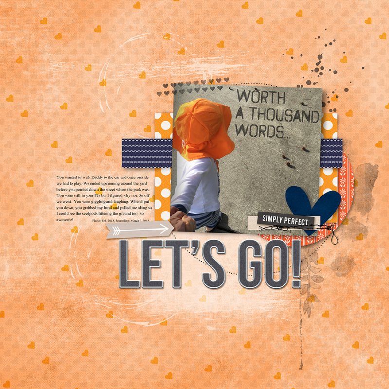 LetsGoMarch2018TCdinskip