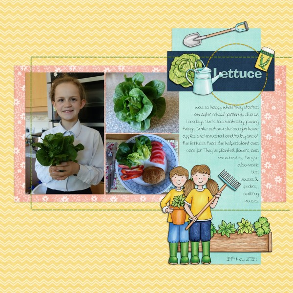 Lettuce
