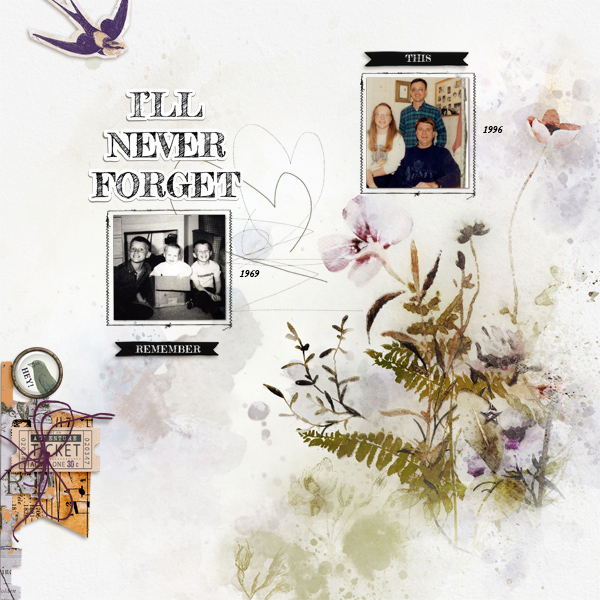 Lgrieveson-never-forget-tp-takeflight