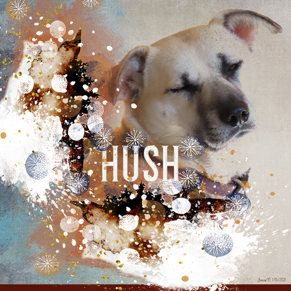 Lgrieveson_hush