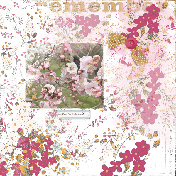 Lgrieveson_lucille_cherryblossoms