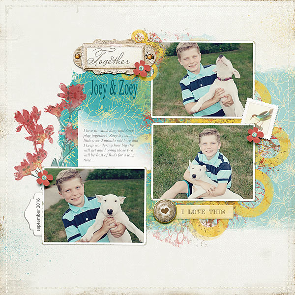 Lgrieveson_springboard-4-1.jpgjoey&zoey