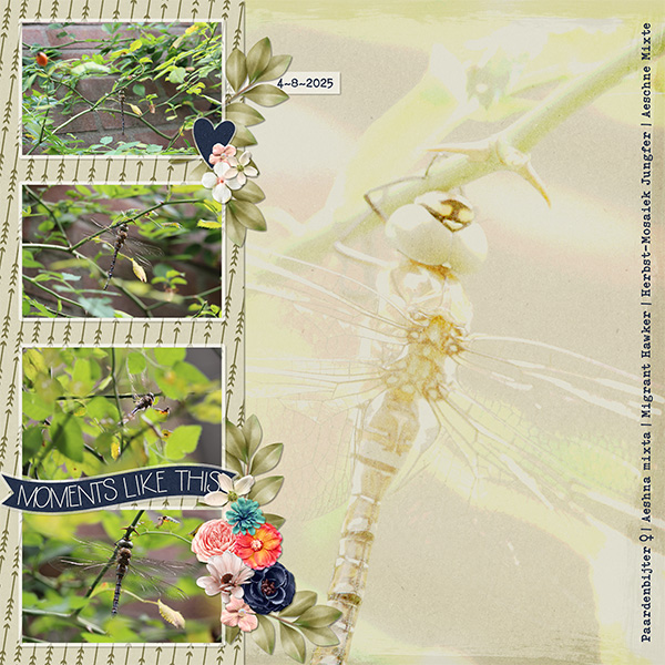 Libel in de tuin