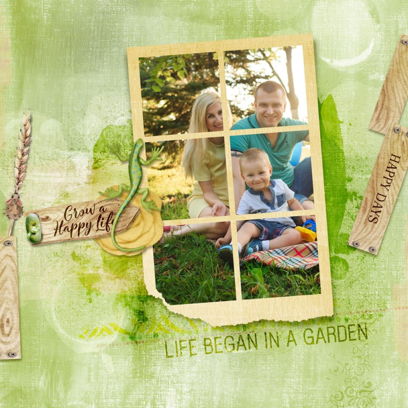 Life began in a garden